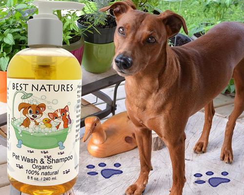 The Importance of Organic Pet Shampoo for Your Furry Friends